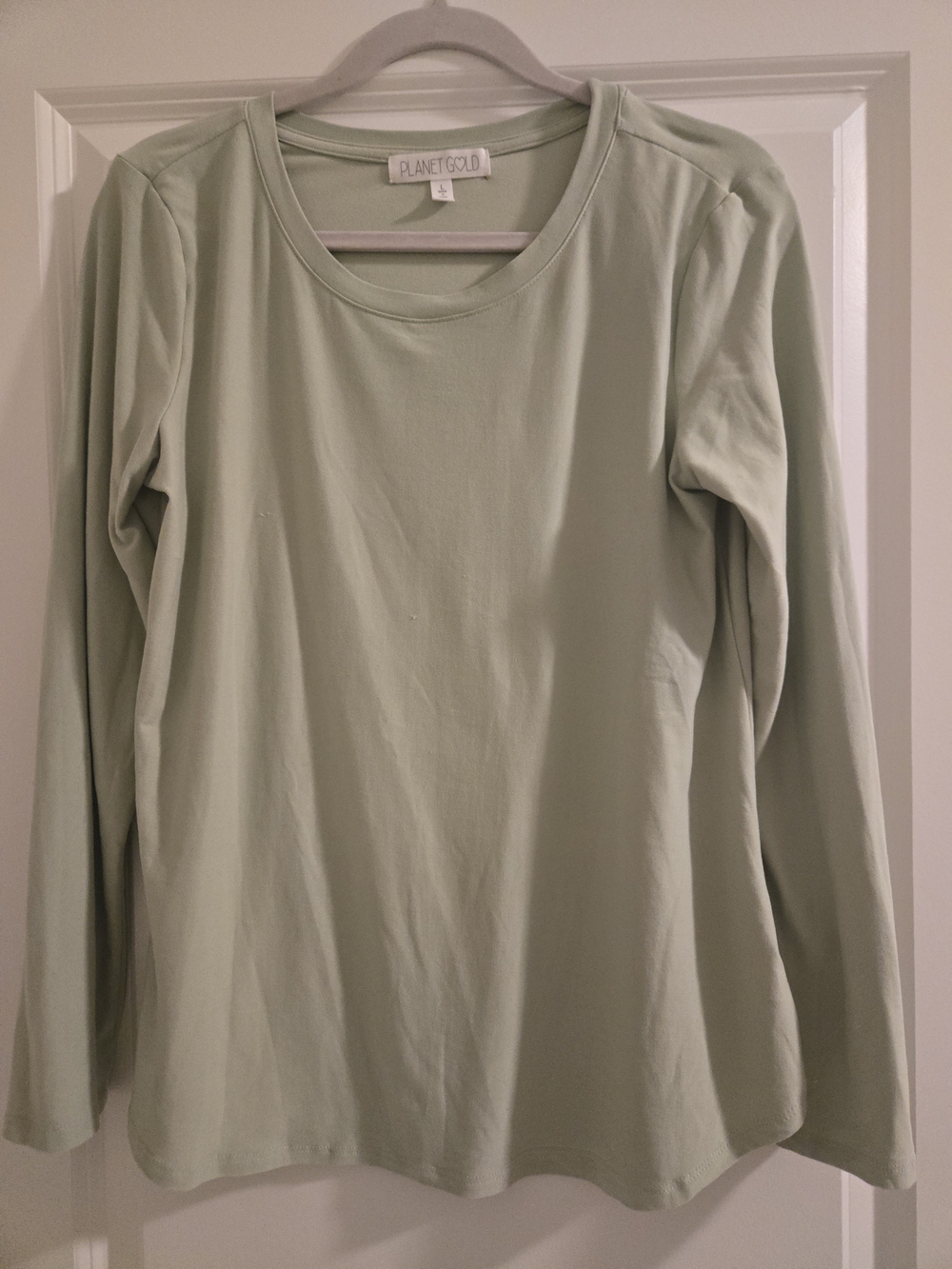 Planet Gold Light Sage Long Sleeve Crewneck Top